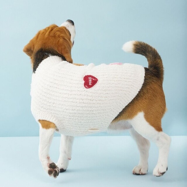 gelato pique ベビモコベアサガラ刺繍プルオーバー Pets-first ONLINESTORE