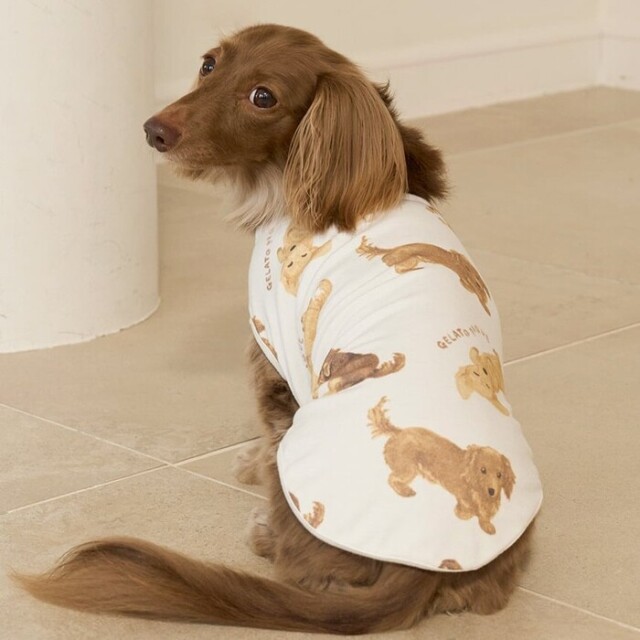 gelato pique　ダックスフンド柄カットソープルオーバー