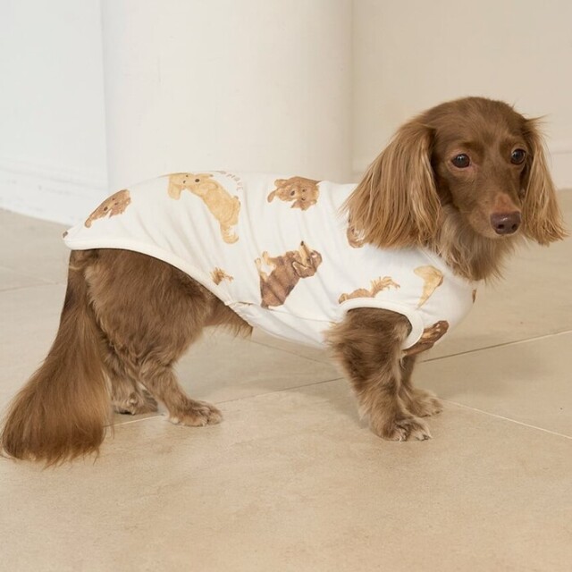 gelato pique ダックスフンド柄カットソープルオーバー Pets-first