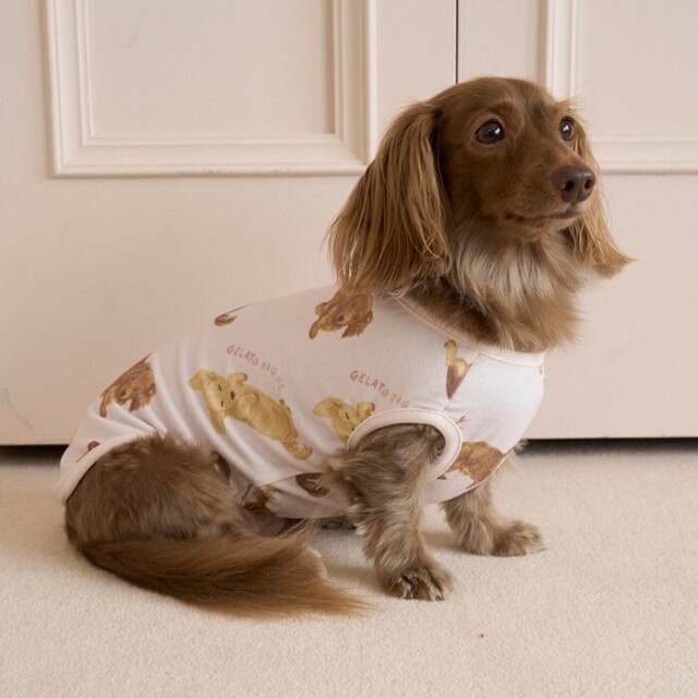 gelato pique ダックスフンド柄カットソープルオーバー Pets-first