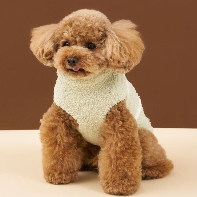 gelato pique ベビモコチェリージャガードニット Pets-first ONLINESTORE