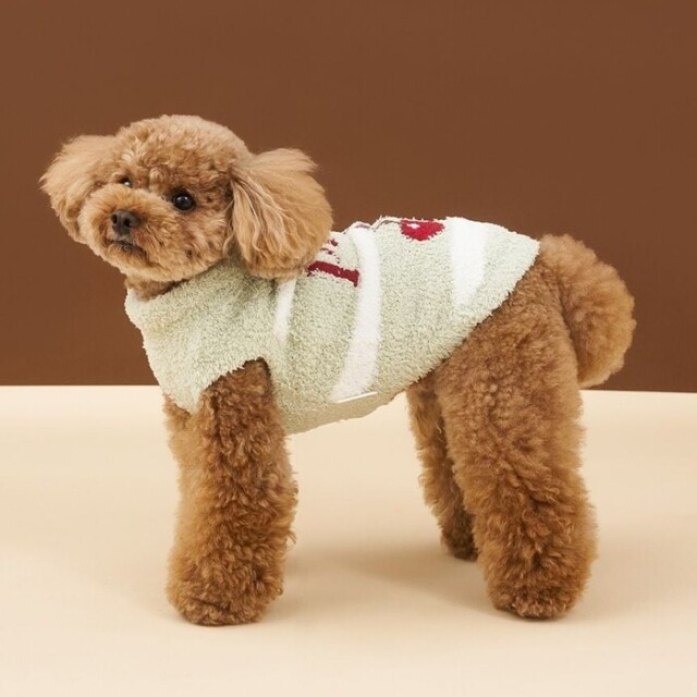 gelato pique ベビモコチェリージャガードニット Pets-first ONLINESTORE