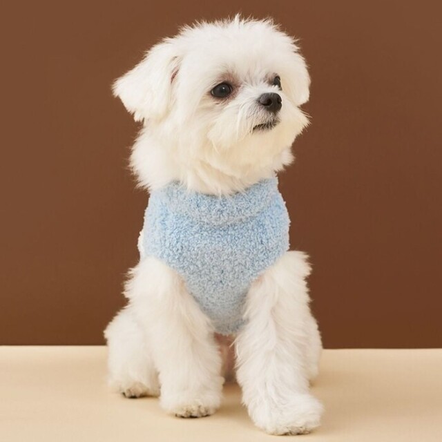 gelato pique ベビモコチェリージャガードニット Pets-first ONLINESTORE