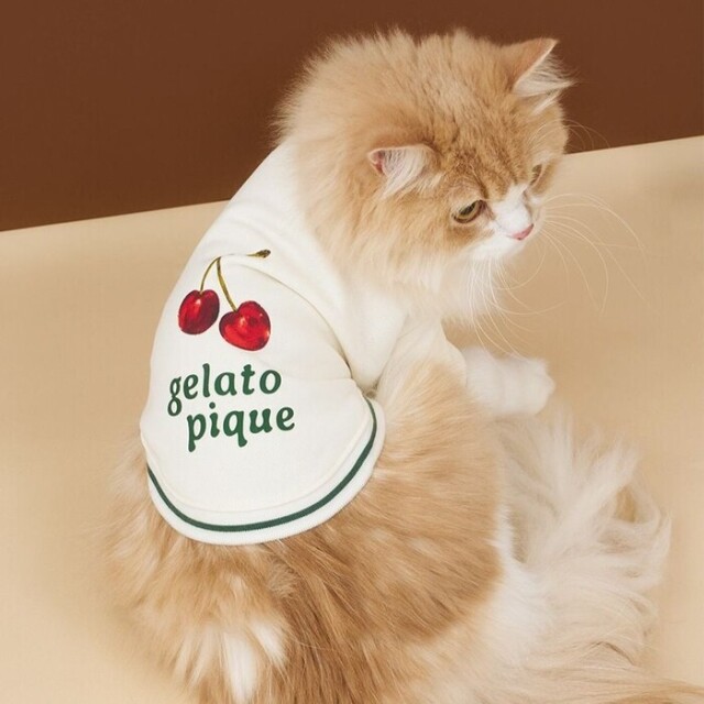 gelato pique チェリー柄裏毛プルオーバー Pets-first ONLINESTORE