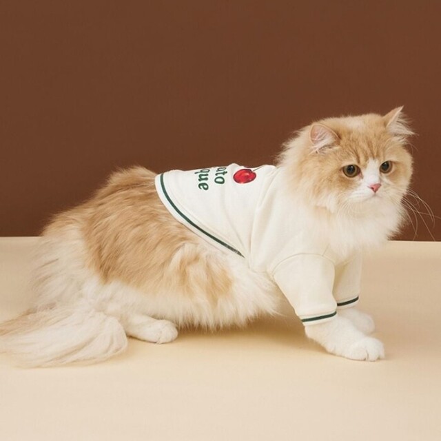 gelato pique チェリー柄裏毛プルオーバー Pets-first ONLINESTORE