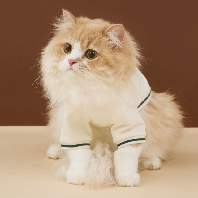 gelato pique チェリー柄裏毛プルオーバー Pets-first ONLINESTORE
