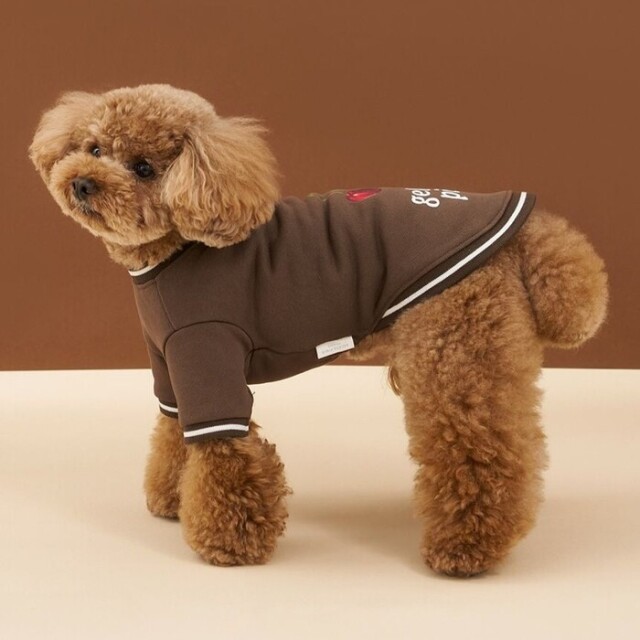 gelato pique チェリー柄裏毛プルオーバー Pets-first ONLINESTORE