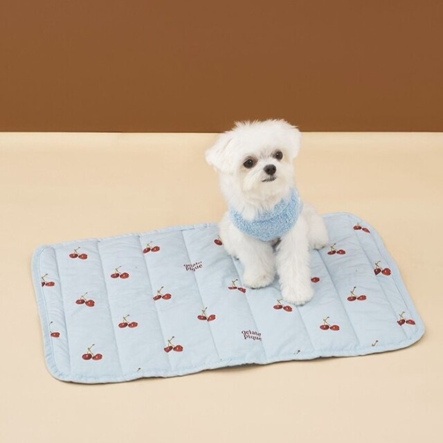 Pet a Portre (ペットアポルテ) SUNDAE カフェマットセット gelato pique チェリー柄カフェマット Pets-first ONLINESTORE
