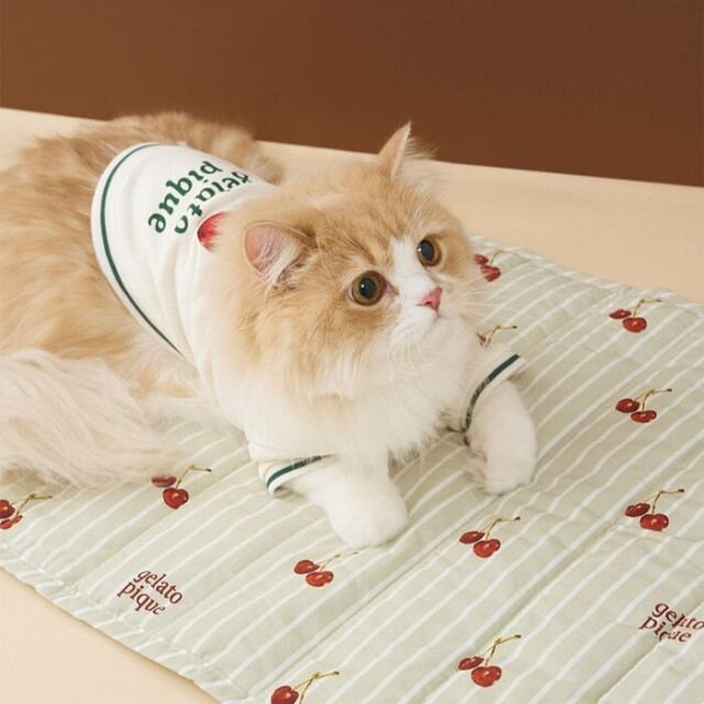 gelato pique チェリー柄カフェマット Pets-first ONLINESTORE