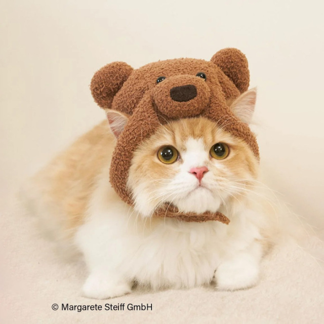 gelato pique 【Steiff】ニットキャップ / L