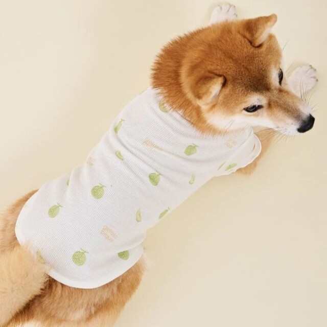 gelato pique フルーツ柄ワッフルカットソープルオーバー Pets-first