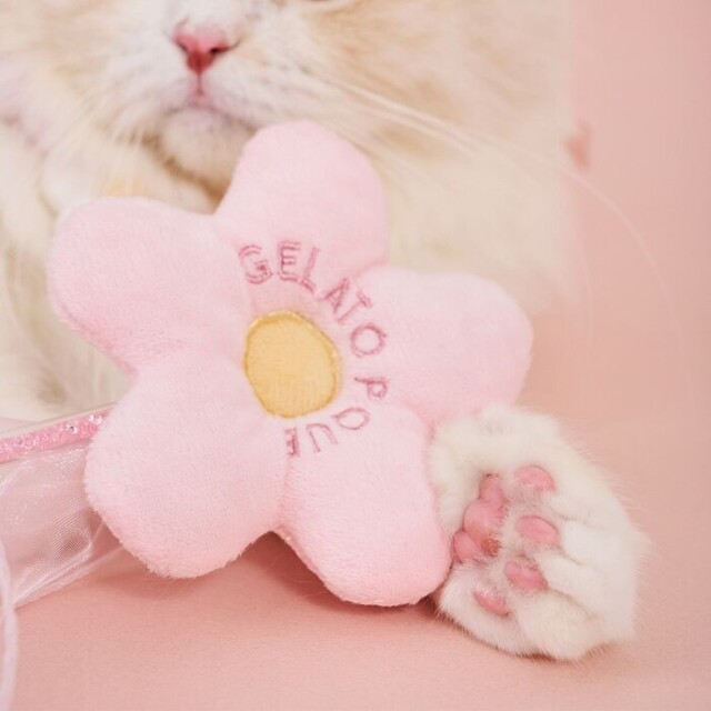 gelato pique フラワーモチーフねこじゃらし Pets-first ONLINESTORE
