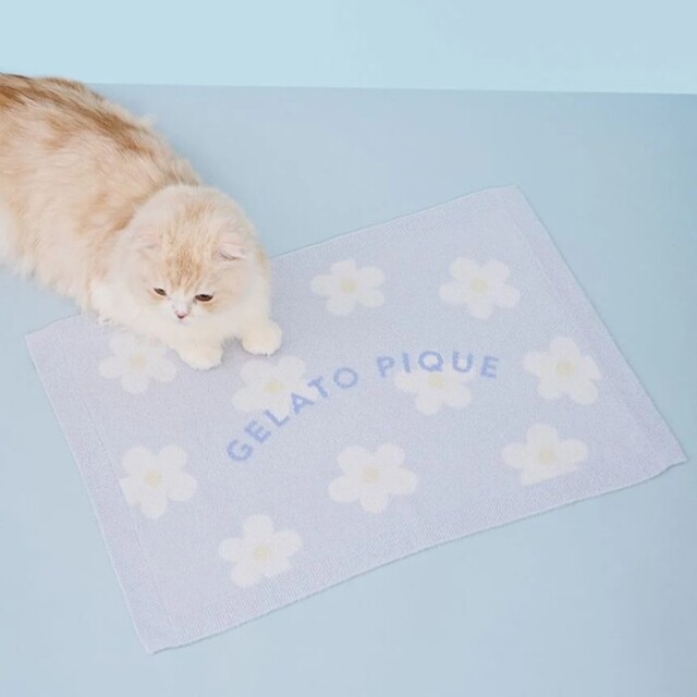 gelato pique スムーズィーフラワージャガードブランケット Pets-first