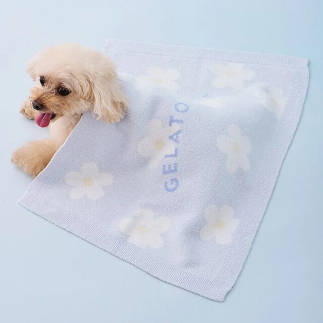 gelato pique スムーズィー つぶまめ ジャガードブランケット gelato pique スムーズィーフラワージャガードブランケット Pets-first