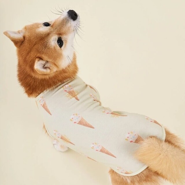 gelato pique アイス柄カットソープルオーバー Pets-first ONLINESTORE