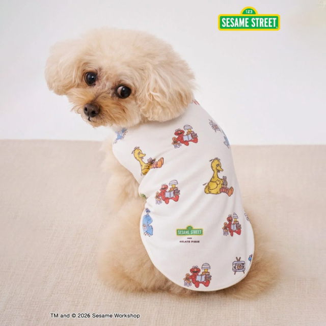 【SESAME STREET】gelato pique カットソープルオーバー