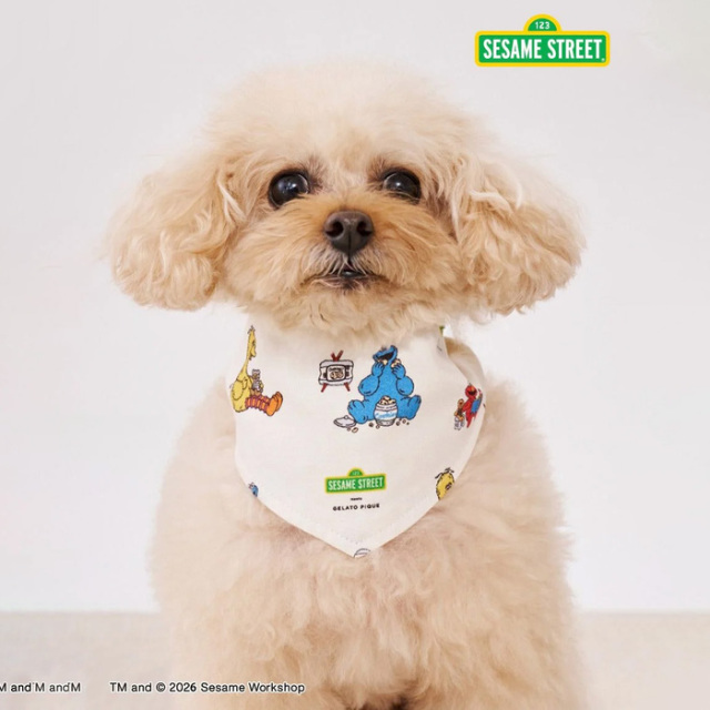 【SESAME STREET】gelato pique バンダナ