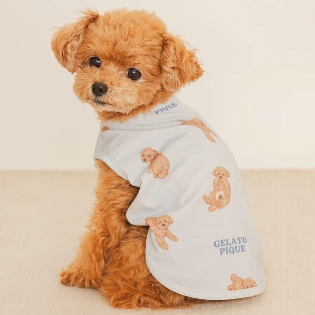 gelato pique お腹見せドッグカットソープルオーバー Pets-first