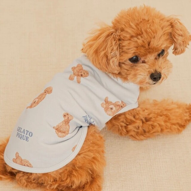 gelato pique お腹見せドッグカットソープルオーバー Pets-first