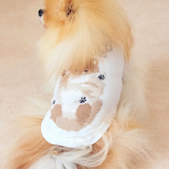 gelato pique お腹見せドッグジャガードプルオーバー Pets-first