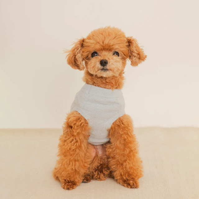 gelato pique お腹見せドッグジャガードプルオーバー Pets-first