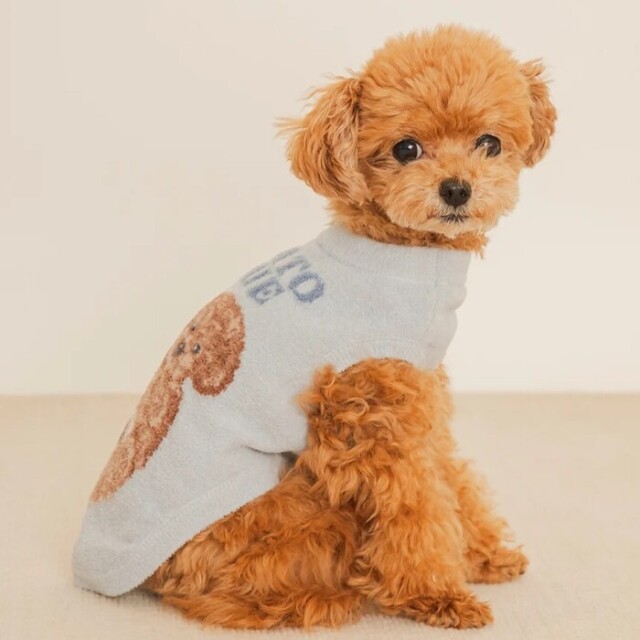 gelato pique お腹見せドッグジャガードプルオーバー Pets-first