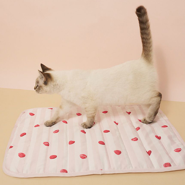 gelato pique】【接触冷感】 Coolingマット Pets-first ONLINESTORE
