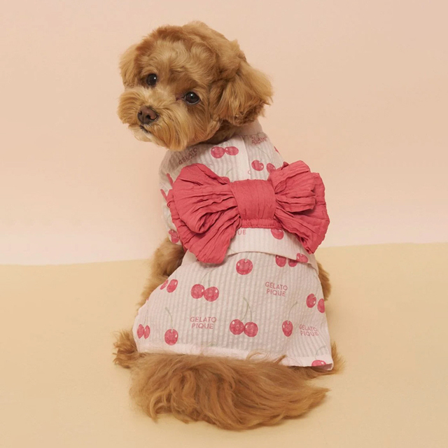 gelato pique】浴衣 / L Pets-first ONLINESTORE