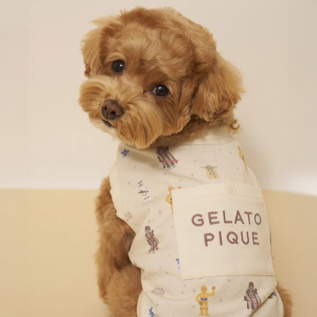 【gelato pique】【STAR WARS】ポケット付きCooling プルオーバー