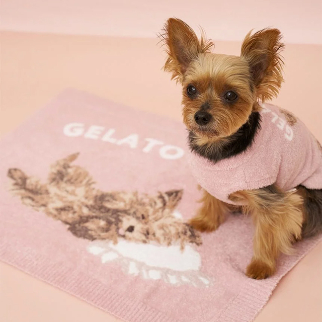 gelato pique】スムーズィーヨーキー柄 ブランケット Pets-first