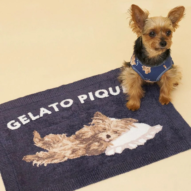 GELATO PIQUE コーギー柄 ブランケット完売レア品 新品 ジェラートピケ