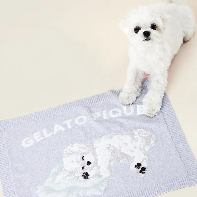 gelato pique】スムーズィーマルチーズ柄 ブランケット Pets-first