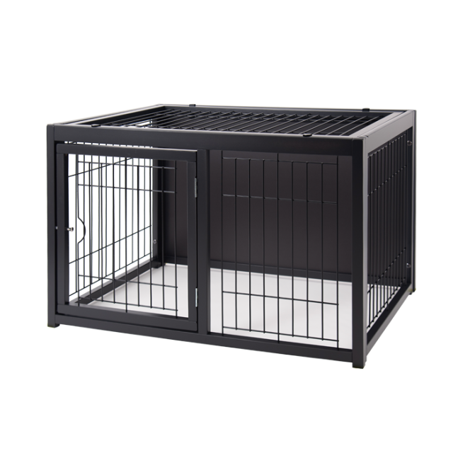 オリジナルサークルレギュラー