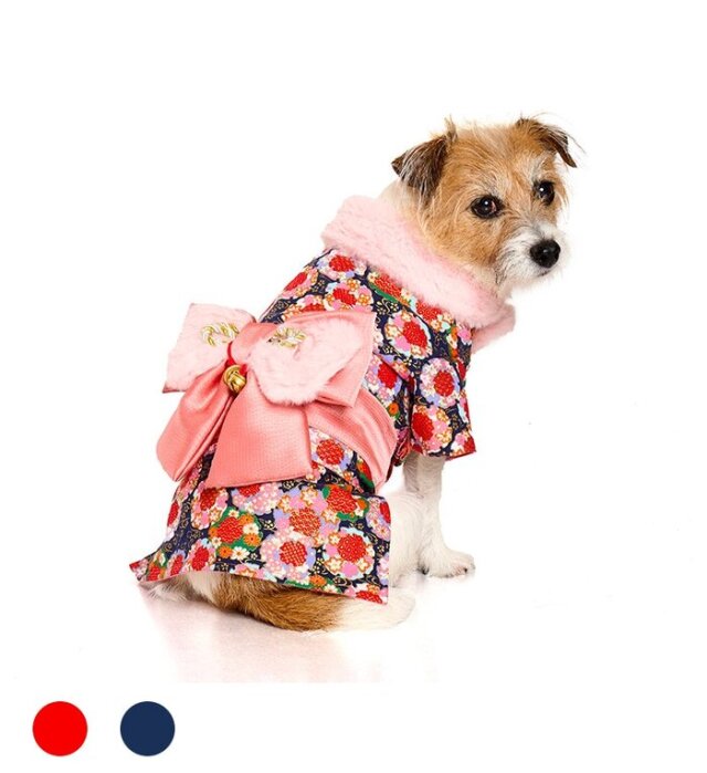 【LIFELIKE（ライフライク）】花舞晴れ着