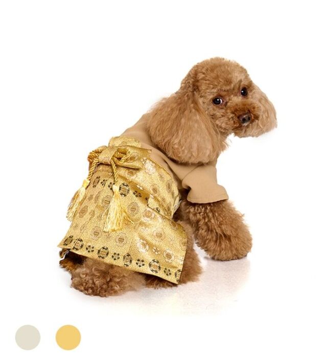 【LIFELIKE（ライフライク）】雅袴