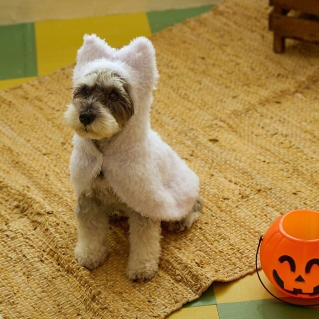 gelato pique PIQUE MONSTER ケープ Pets-first ONLINESTORE