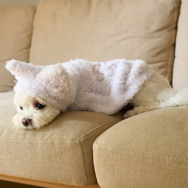 gelato pique PIQUE MONSTER ケープ Pets-first ONLINESTORE