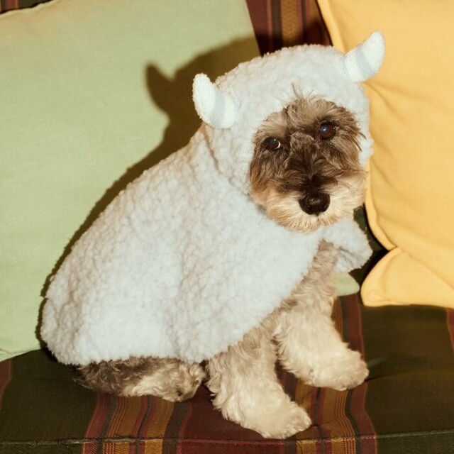 2025年ハロウィン】gelato pique PIQUE MONSTER ケープ Pets