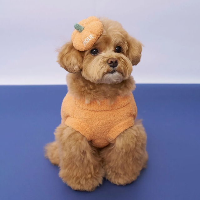 【gelato pique　HALLOWEEN】パンプキンヘアクリップ