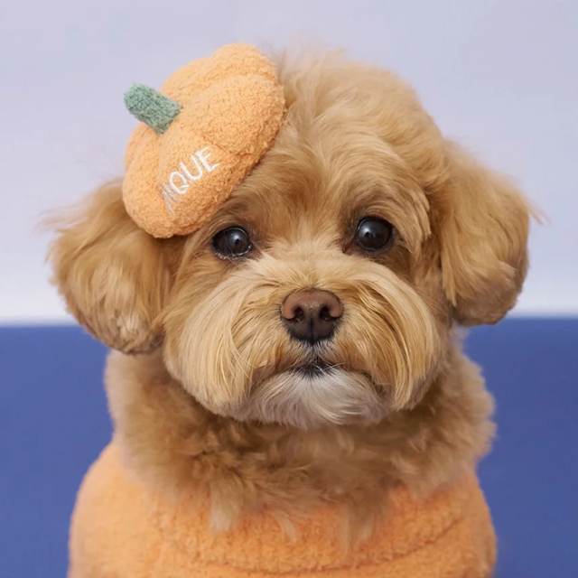 【gelato pique　HALLOWEEN】パンプキンヘアクリップ