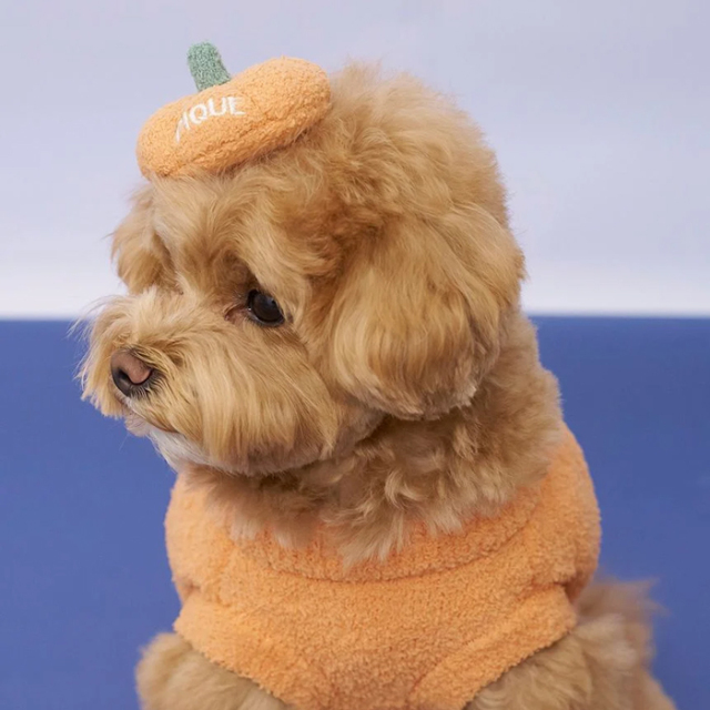 【gelato pique　HALLOWEEN】パンプキンヘアクリップ