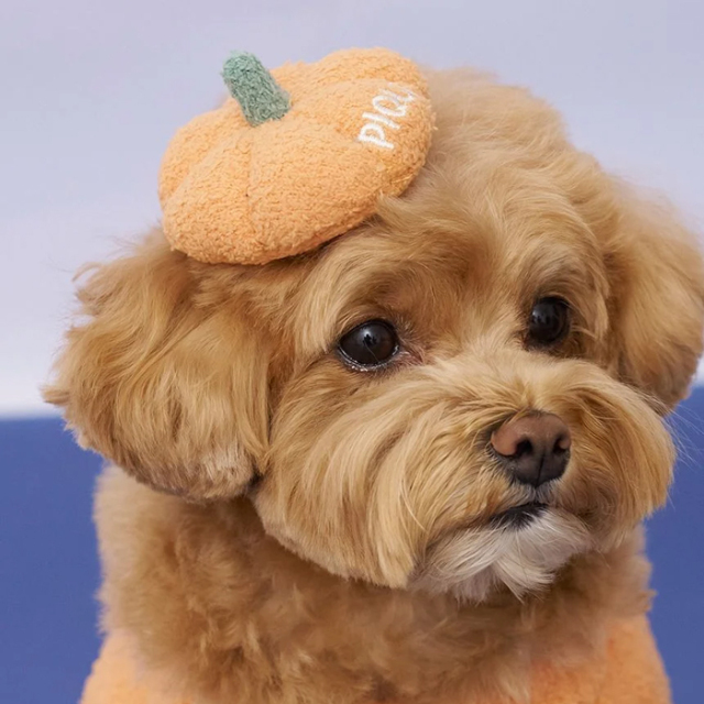 【gelato pique　HALLOWEEN】パンプキンヘアクリップ