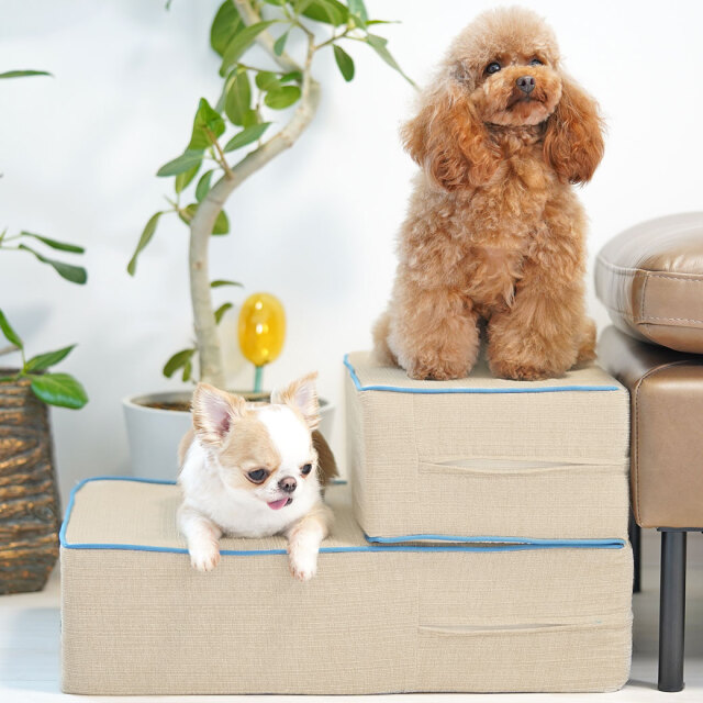 IDOG&ICAT】 iDog Living アイステップレザータイプ 3段 Pets-first