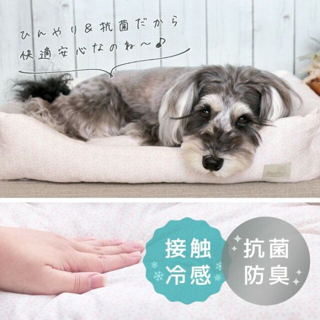 クールスクエアベッド