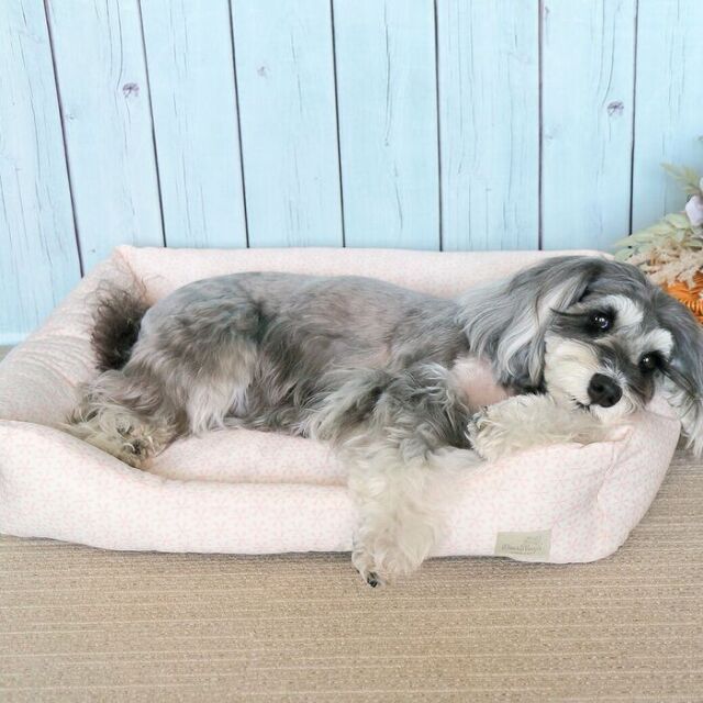 クールスクエアベッド