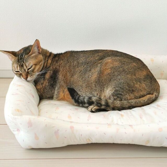 クールスクエアベッド