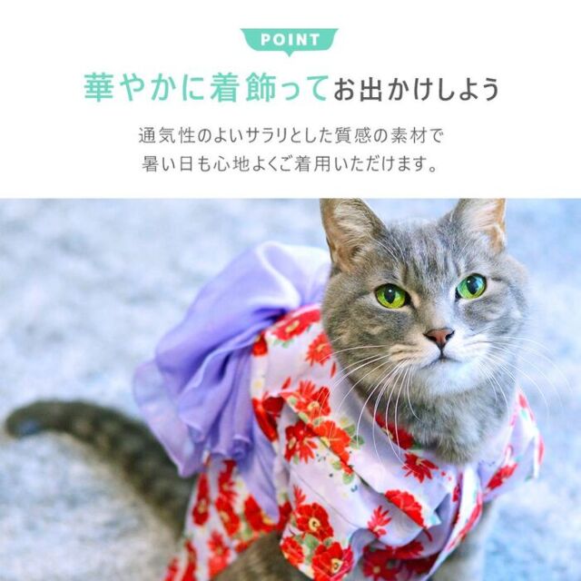IDOG&ICAT】 華やか大輪帯浴衣 Pets-first ONLINESTORE