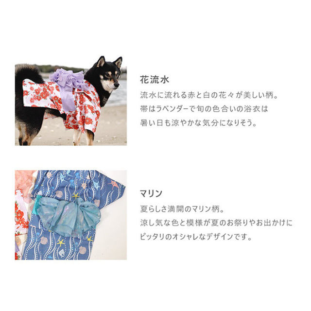 IDOG&ICAT】 華やか大輪帯浴衣 Pets-first ONLINESTORE
