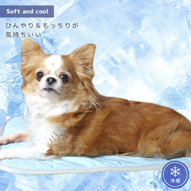 【IDOG&ICAT】クールジェルマット 接触冷感 抗菌 防臭 アイドッグ