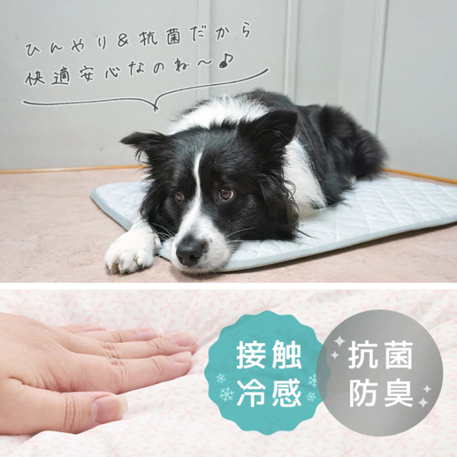 【IDOG&ICAT】クールステイキルトマット ワイドサイズ
